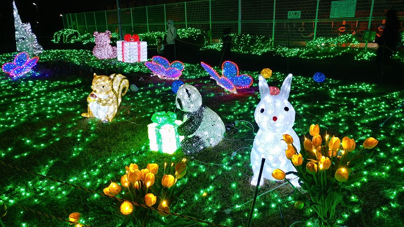 f:id:Qpkowa:20210102214412j:plain