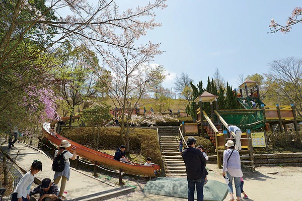 f:id:Qpkowa:20210108113909j:plain