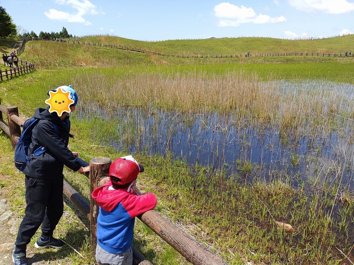 f:id:Qpkowa:20210509205136j:plain