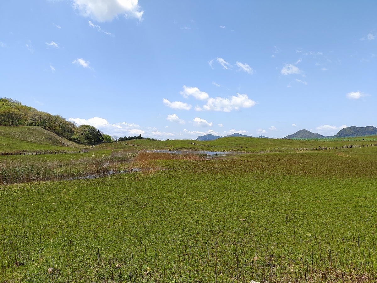 f:id:Qpkowa:20210509205232j:plain