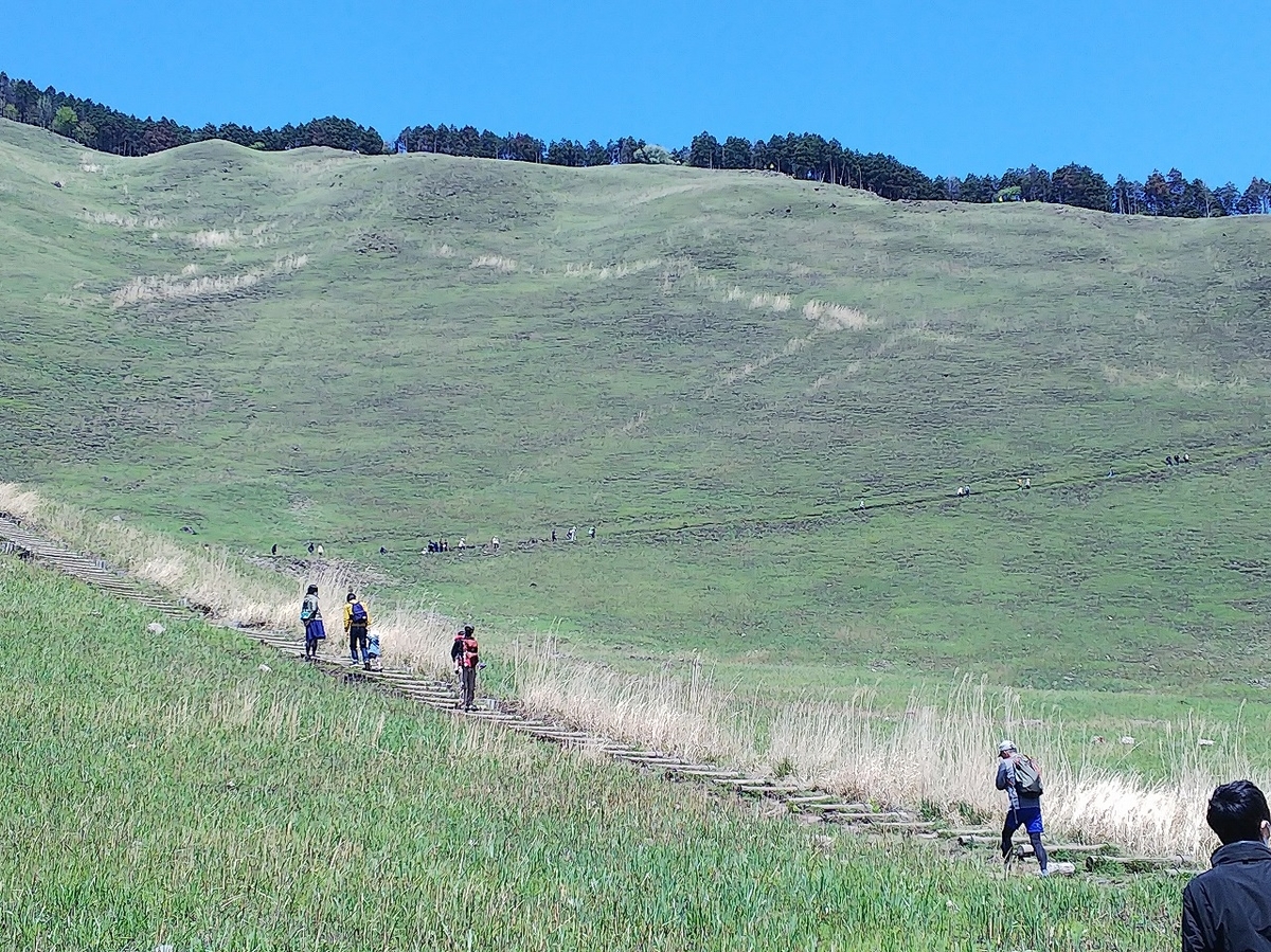 f:id:Qpkowa:20210509205249j:plain