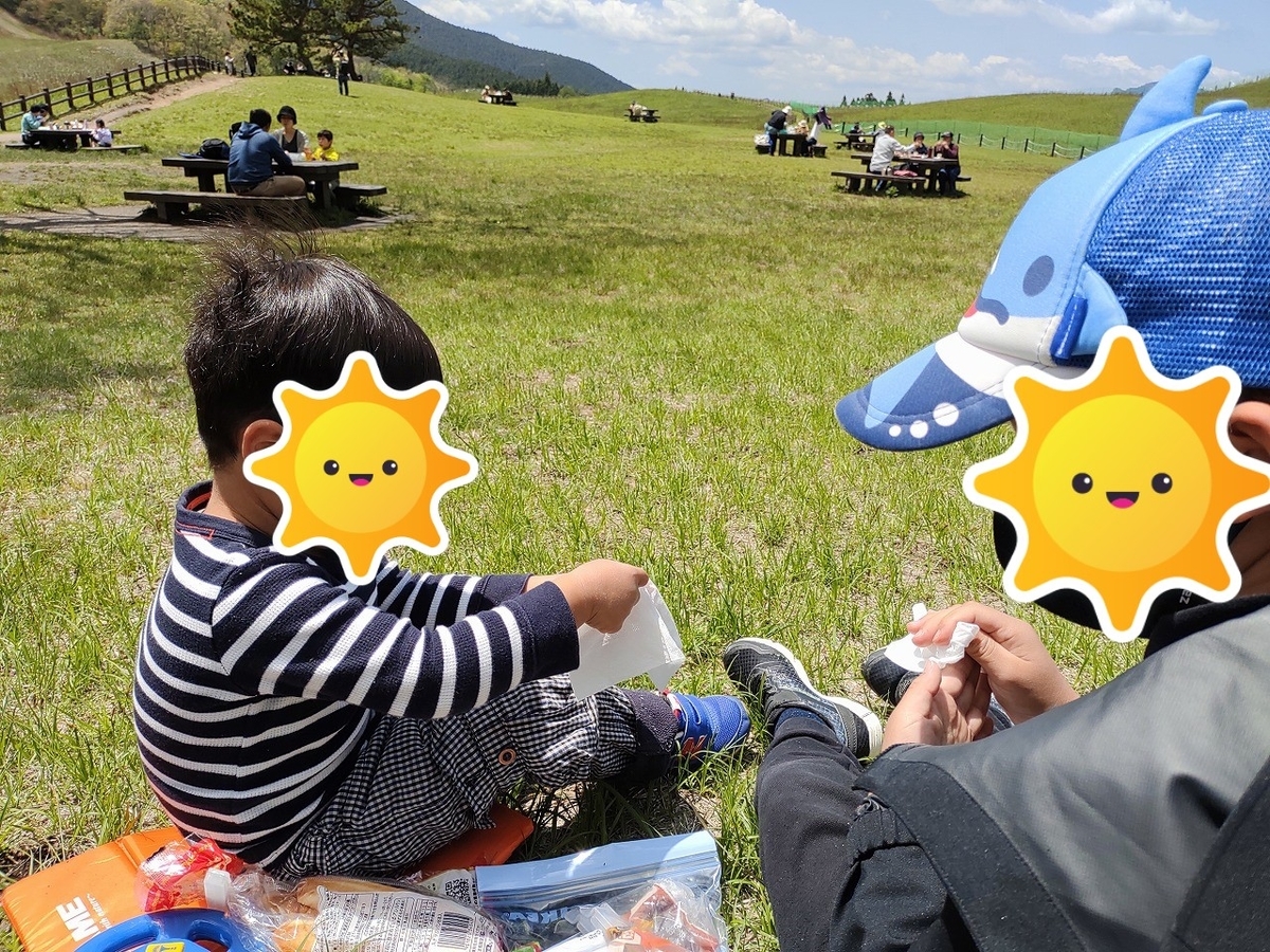 f:id:Qpkowa:20210509205655j:plain