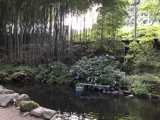 板室の蛍 - phase02