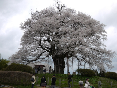 20100410161952