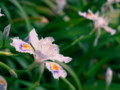 20120504161850