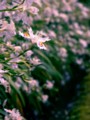 20120504161914