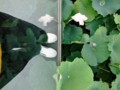 20130623154024