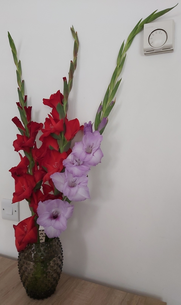f:id:QueSeraSeraEngland:20210807150552j:plain