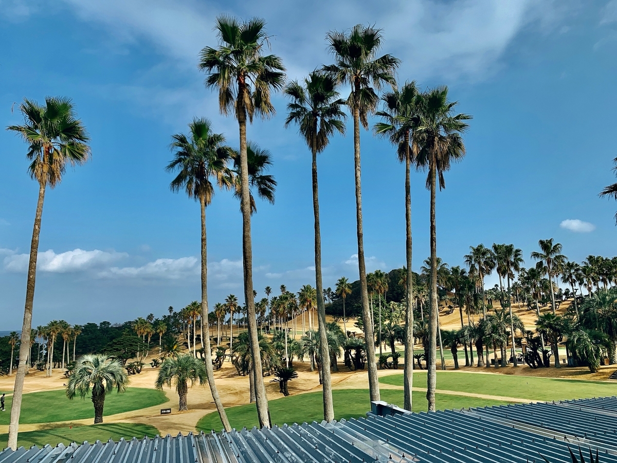 f:id:QueenG:20210125093344j:plain