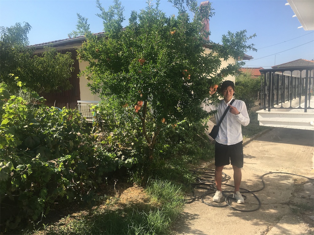 f:id:Queserasera00:20190913165138j:image