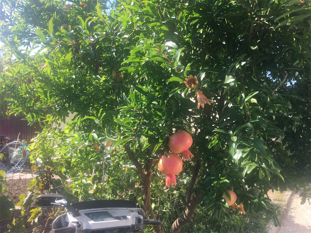 f:id:Queserasera00:20190913165143j:image