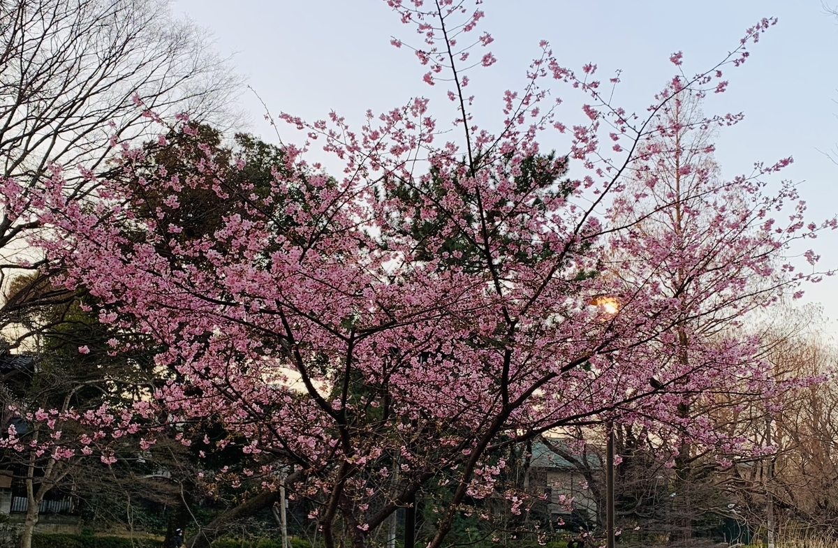 f:id:Question-lab:20210222213043j:plain