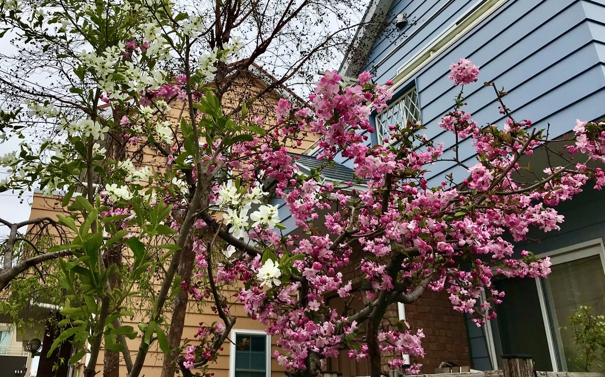 f:id:Question-lab:20210326164105j:plain