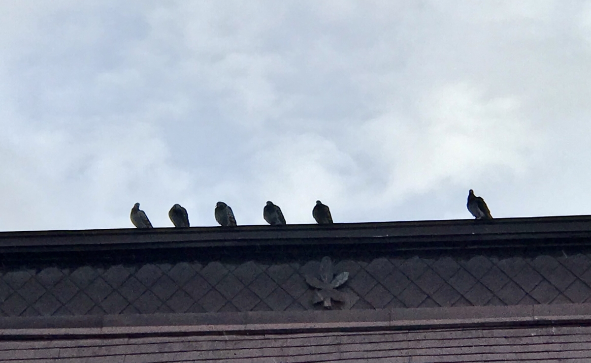 f:id:Question-lab:20210328201642j:plain