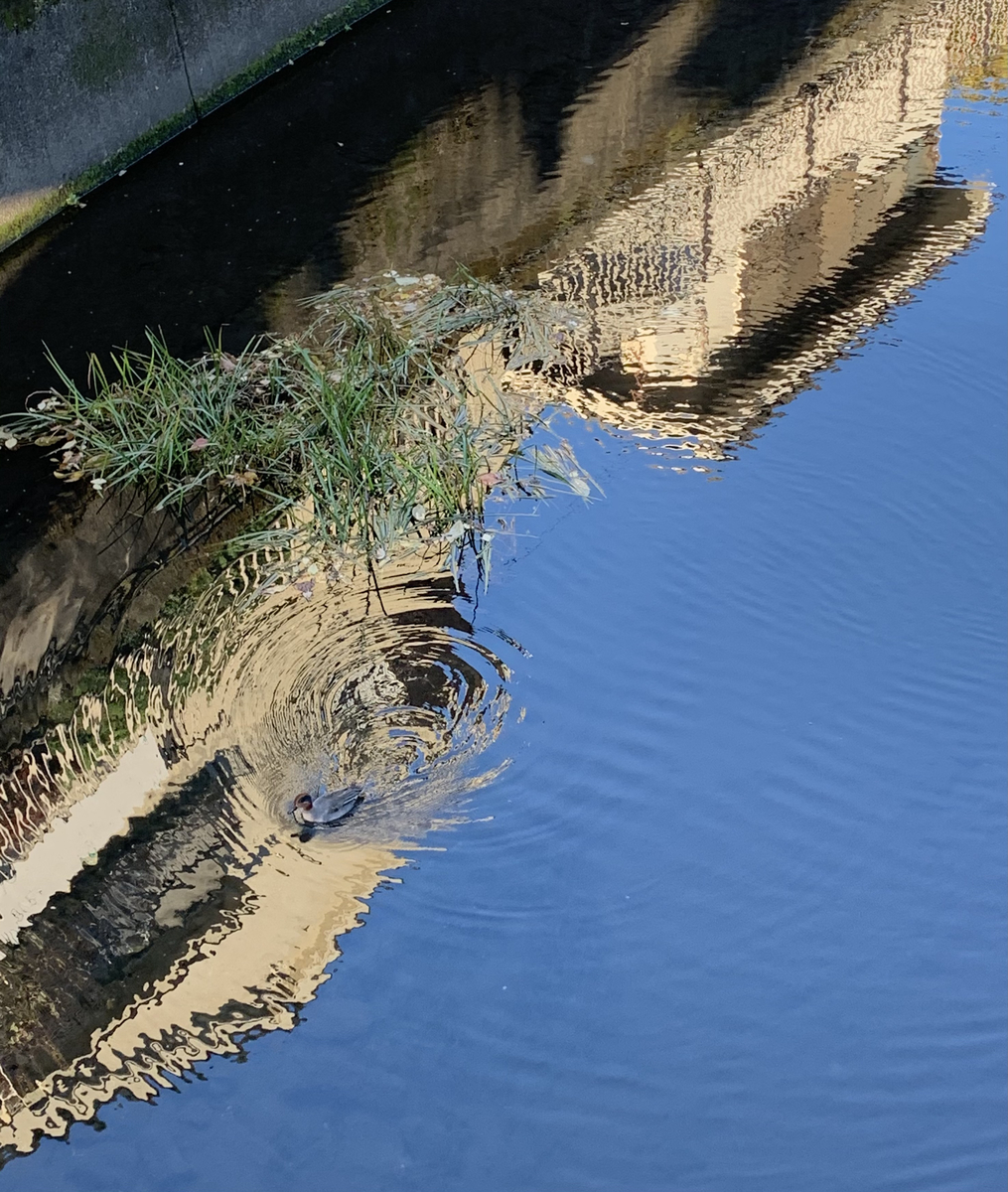 f:id:Question-lab:20210413193236j:plain