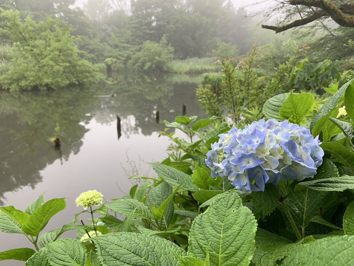 f:id:Question-lab:20210520195338j:plain