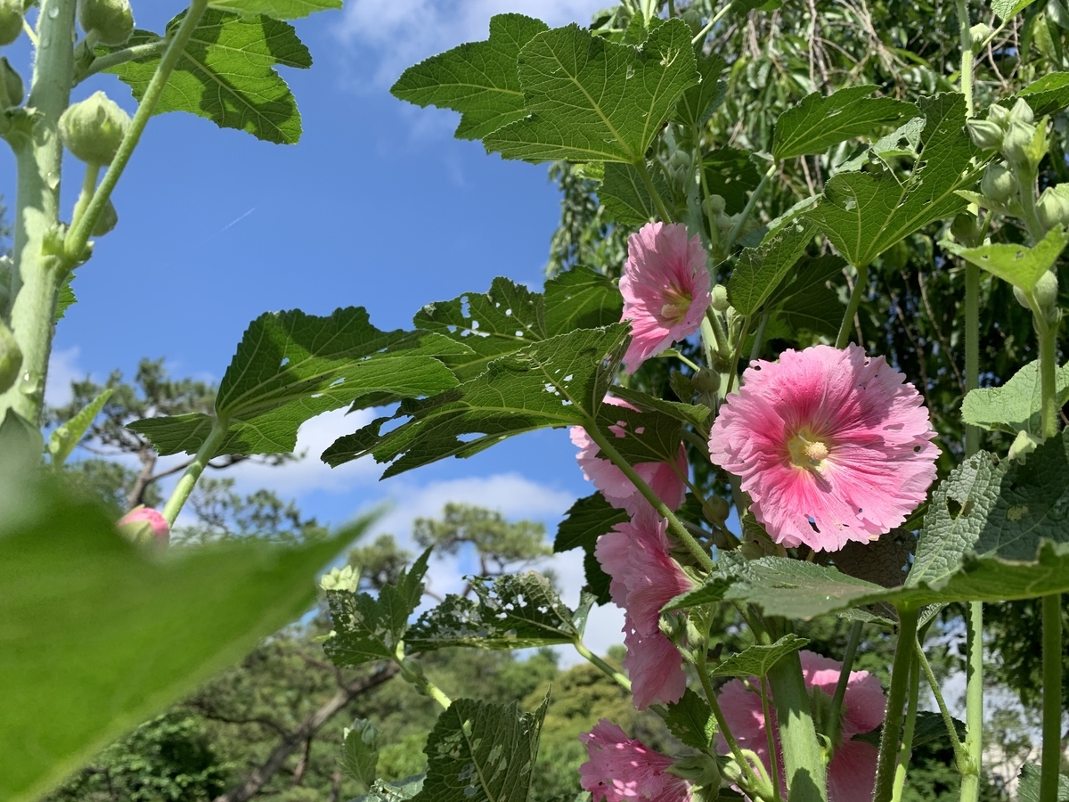 f:id:Question-lab:20210524194857j:plain