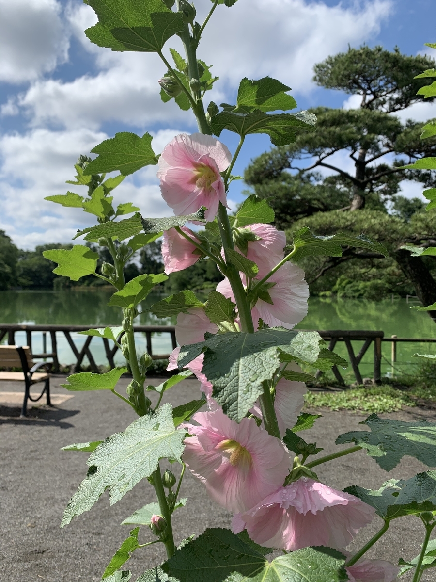 f:id:Question-lab:20210705210632j:plain