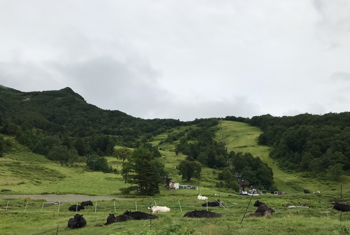 沈黙の春 Idematsu Qのブログ