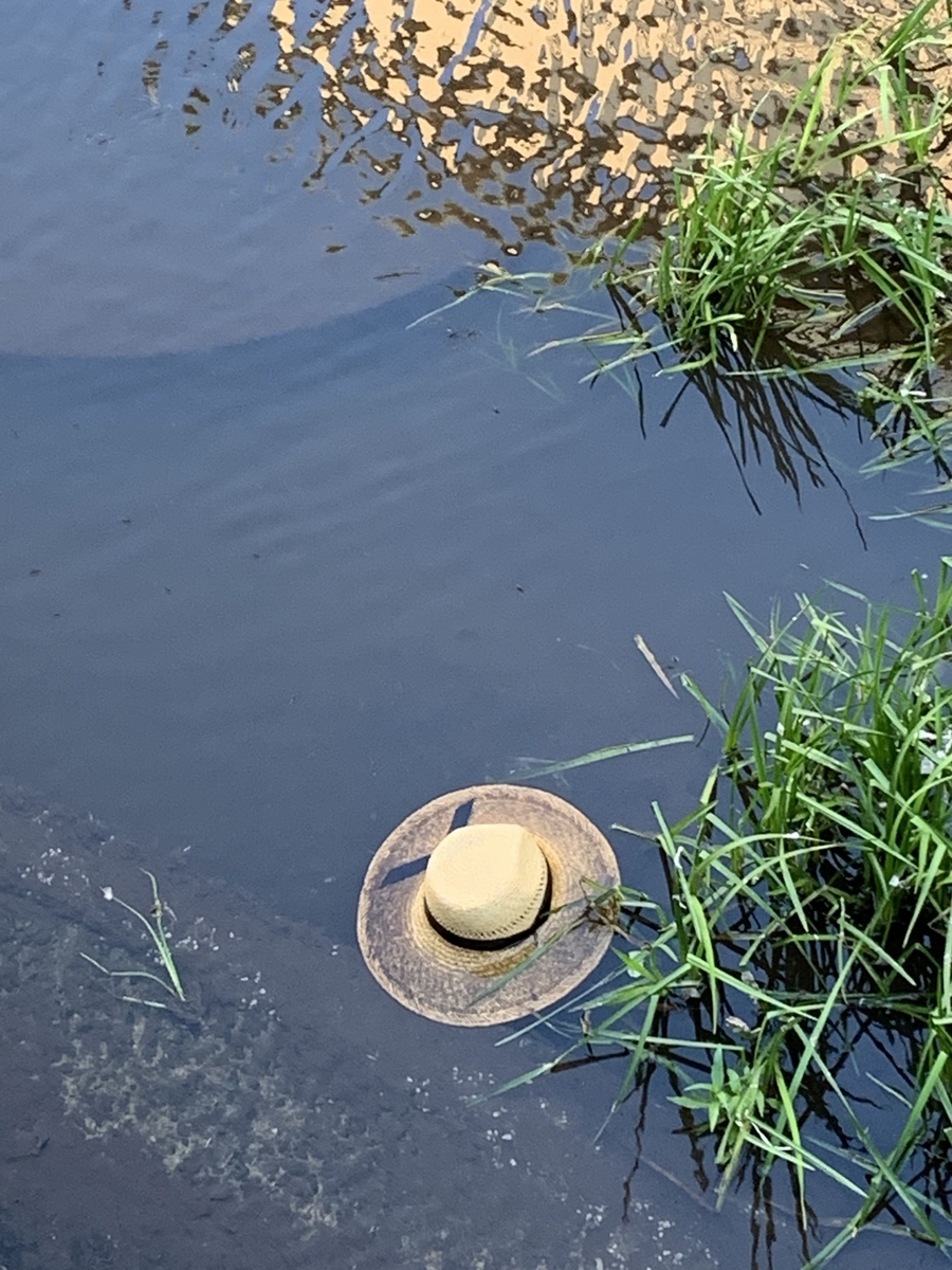 f:id:Question-lab:20210826212146j:plain