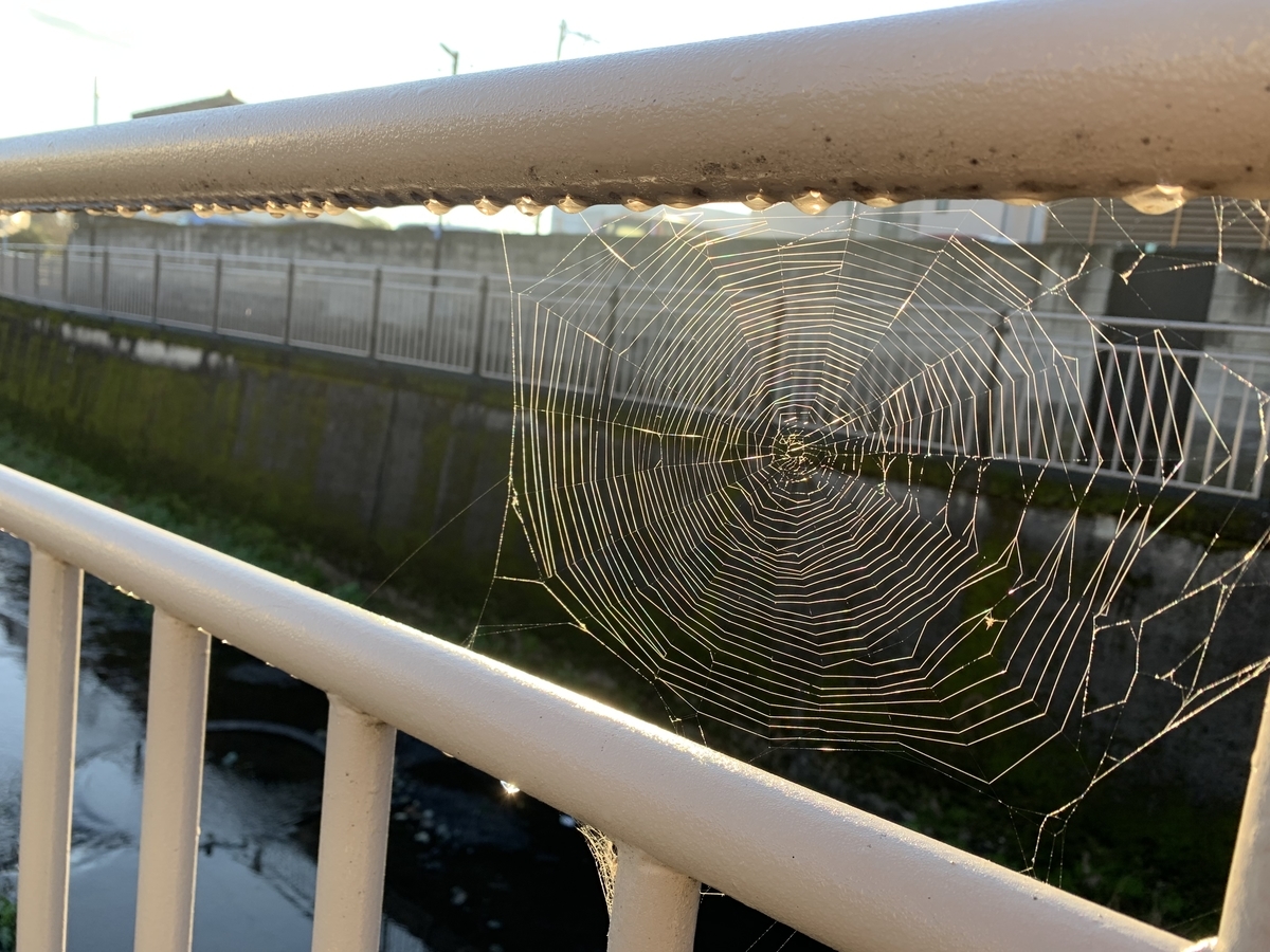 f:id:Question-lab:20211022224628j:plain