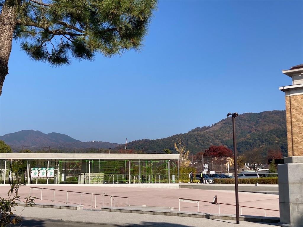 f:id:R-YELL:20201118152324j:image f:id:R-YELL:20201118152324j:image