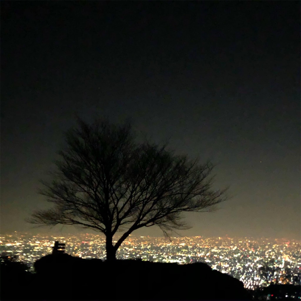 f:id:R-YELL:20210213182608j:image f:id:R-YELL:20210213182608j:image