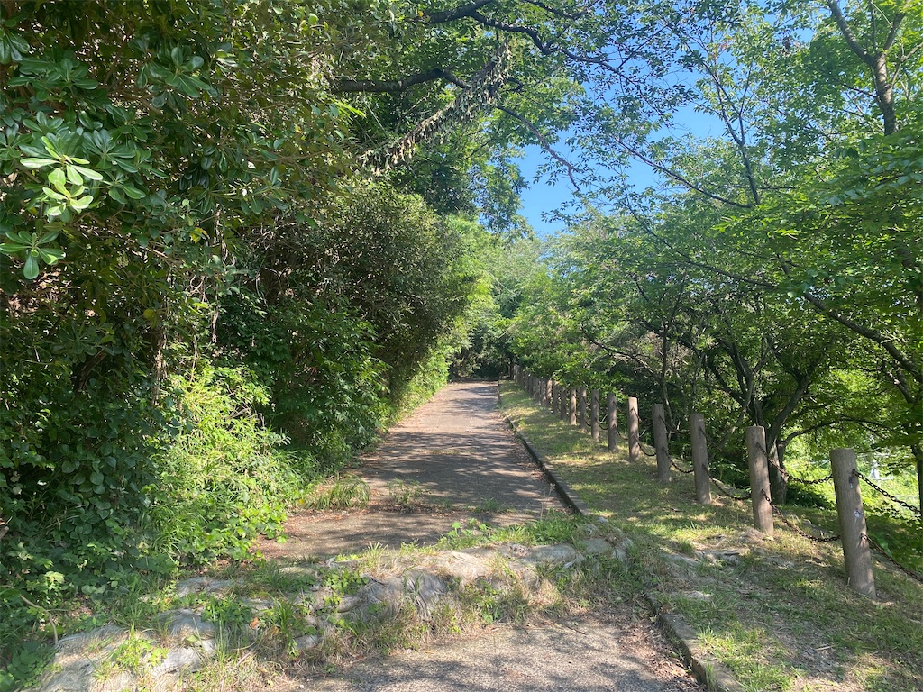 f:id:R-hanohano:20210602111715j:image