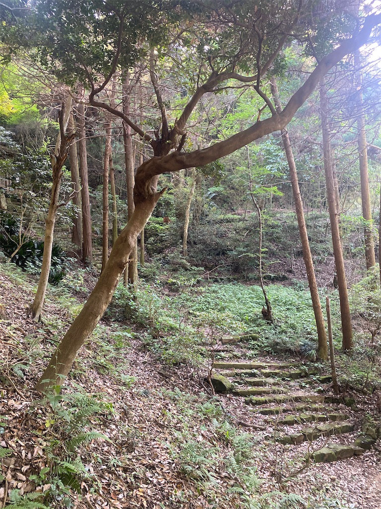 f:id:R-hanohano:20210602134812j:image