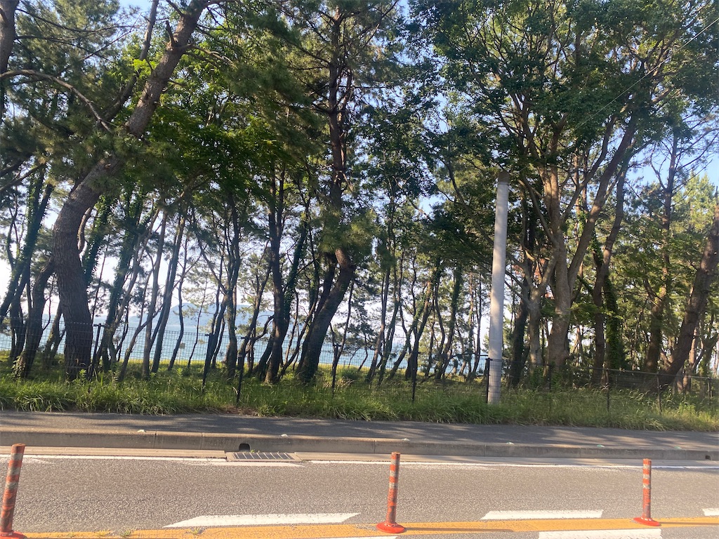 f:id:R-hanohano:20210602140509j:image