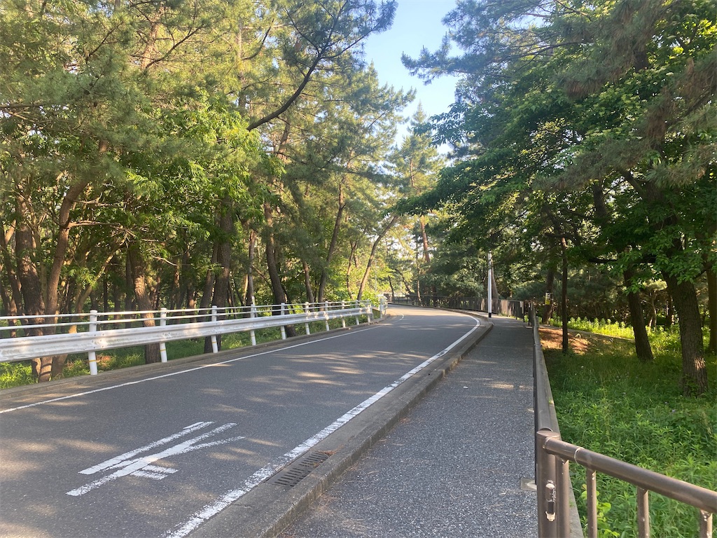 f:id:R-hanohano:20210602140528j:image
