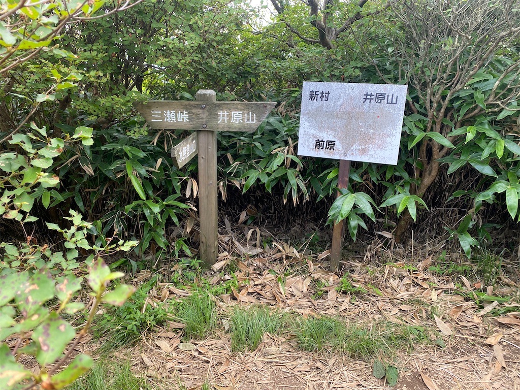 f:id:R-hanohano:20210801002533j:image