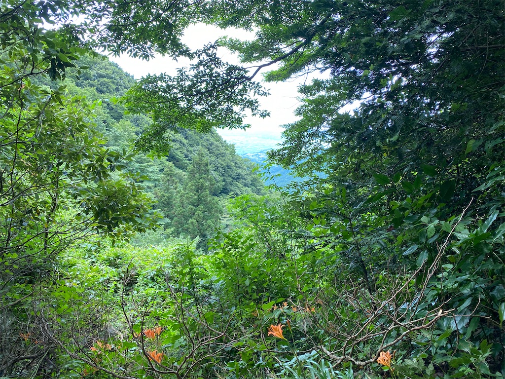f:id:R-hanohano:20210801161438j:image
