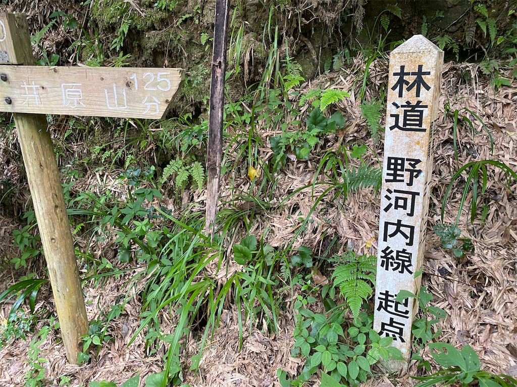 f:id:R-hanohano:20210801161508j:image