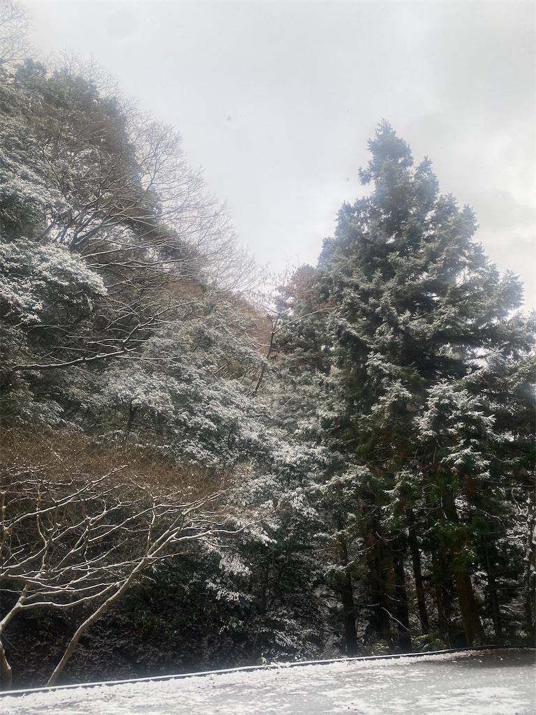 f:id:R-hanohano:20211227222803j:image
