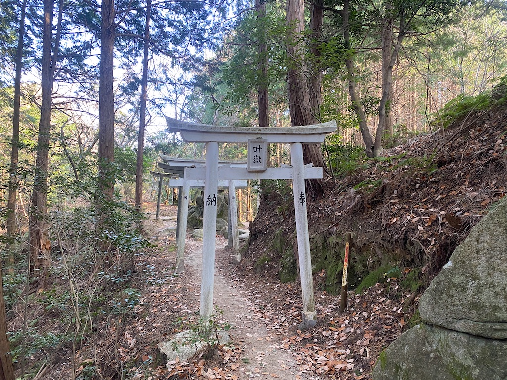 f:id:R-hanohano:20220113095051j:image