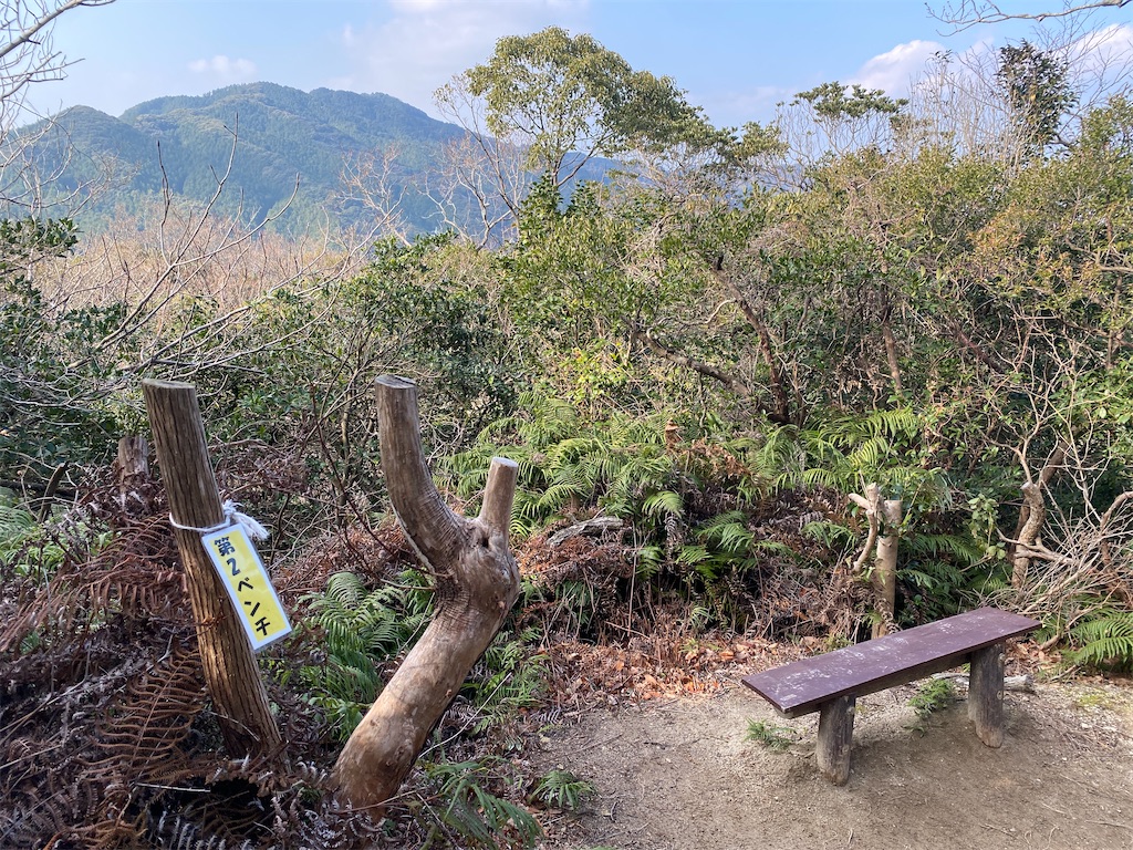 f:id:R-hanohano:20220113095330j:image