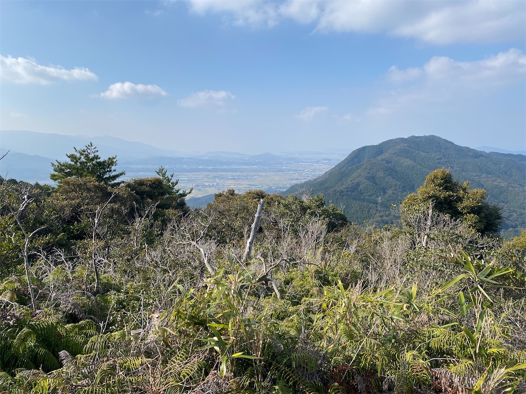 f:id:R-hanohano:20220113095508j:image