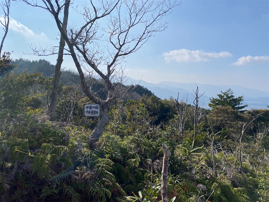 f:id:R-hanohano:20220113095624j:image