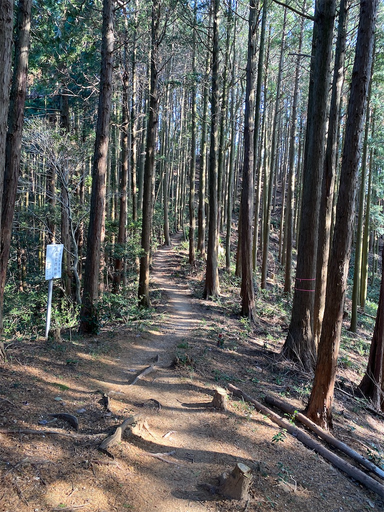 f:id:R-hanohano:20220113100215j:image