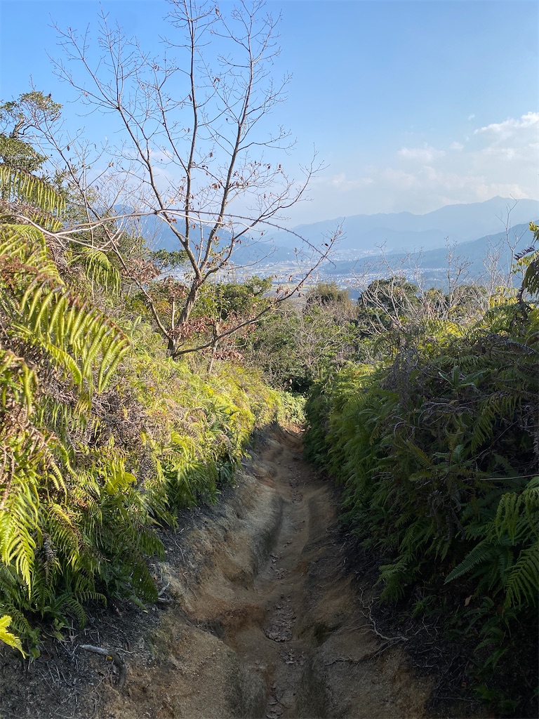 f:id:R-hanohano:20220113100646j:image