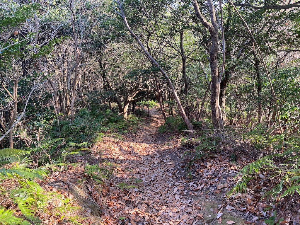 f:id:R-hanohano:20220113100749j:image