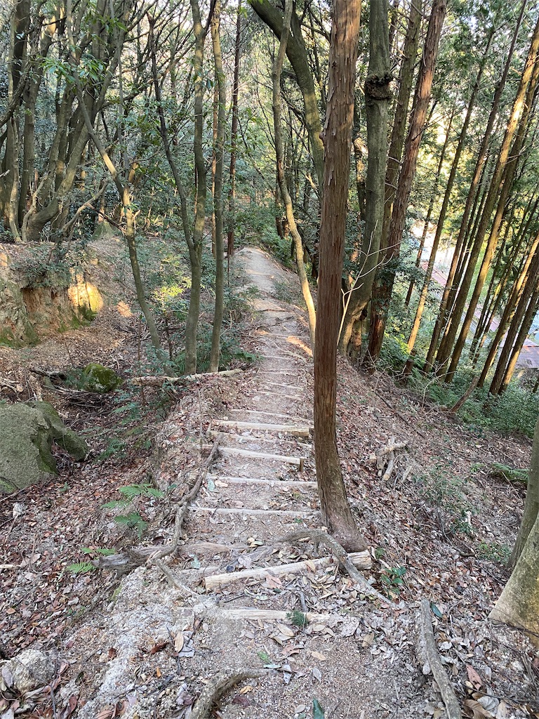 f:id:R-hanohano:20220113100808j:image