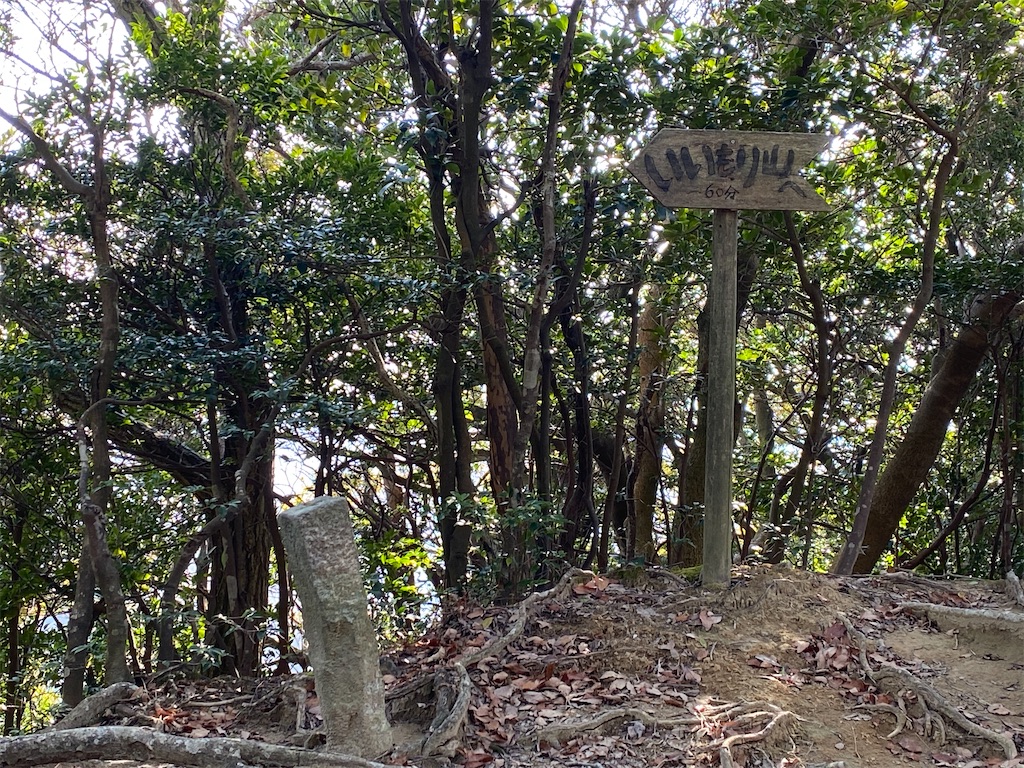 f:id:R-hanohano:20220113152007j:image