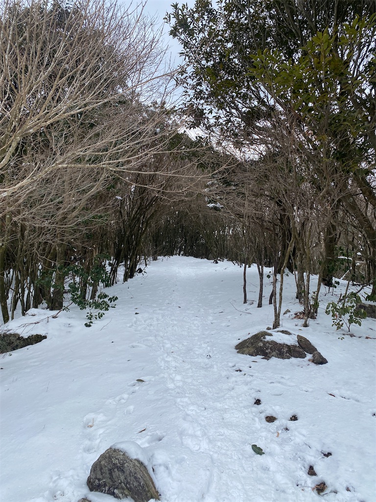 f:id:R-hanohano:20220501115256j:image