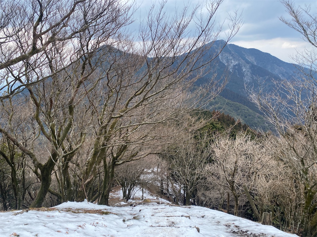f:id:R-hanohano:20220501115432j:image