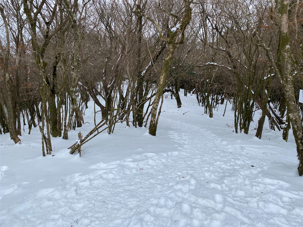 f:id:R-hanohano:20220505234454j:image