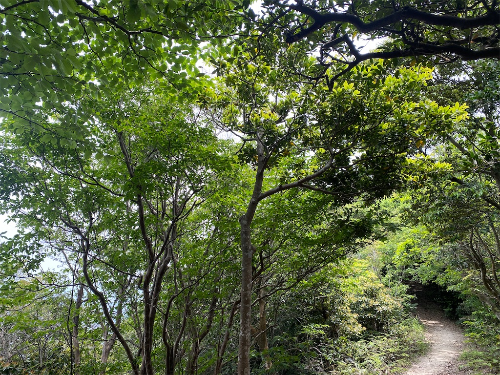 f:id:R-hanohano:20220522215649j:image