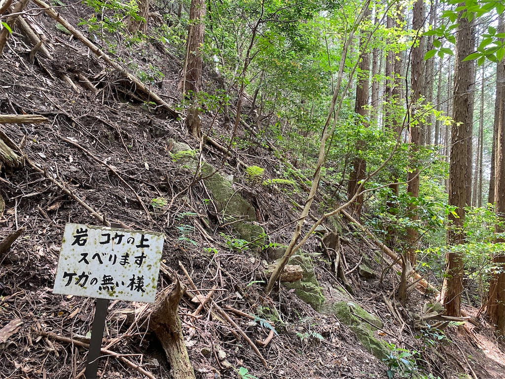 f:id:R-hanohano:20220522220023j:image