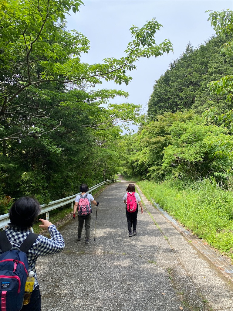 f:id:R-hanohano:20220522220340j:image